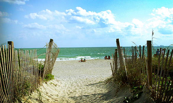 Explore Miami