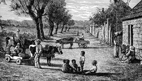 Life on a Plantation