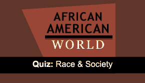 Brain Teaser: Race & Society 