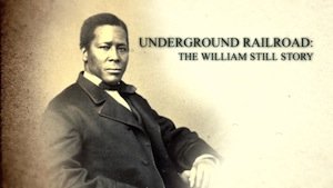 The Wiliam Still Story