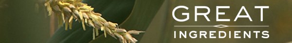 Image - GrIn-header-600x90.jpg